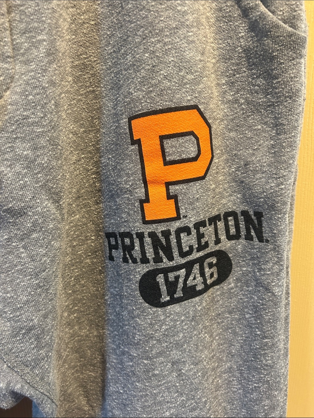 Princeton Grey Sweatpants with Drawstring - Picture 2 of 6